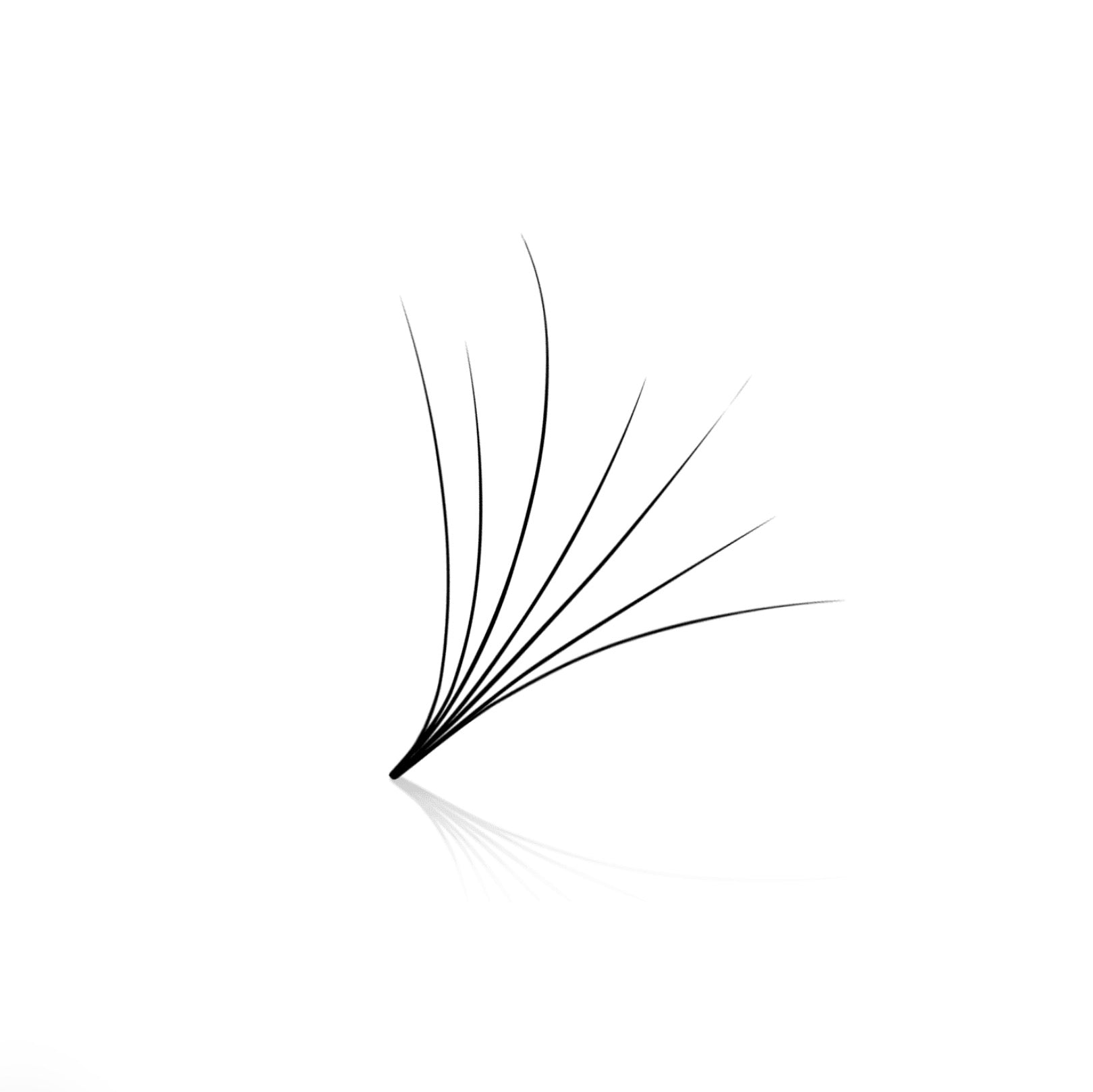 PLA 20D Loose- 15mmD Lash Tray